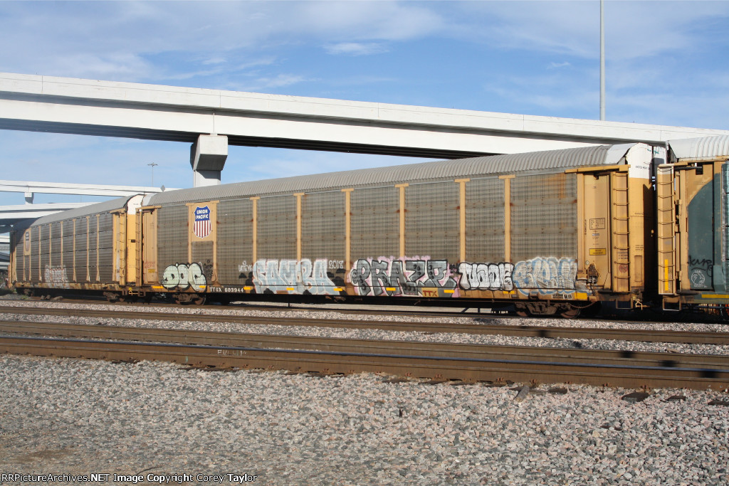 TTGX 603944